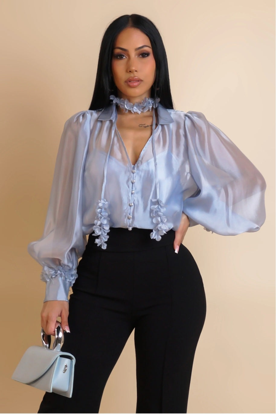 Sheena Long Puff Sleeve Sheer Floral Tie-Neck Blouse