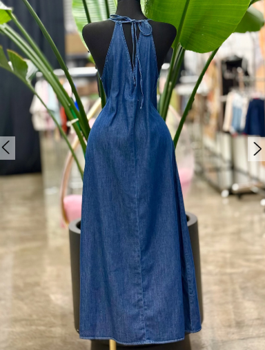 Love in Denim Form Maxi Dress