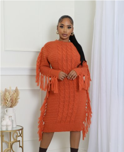 Fringy Babe Sweater Dress