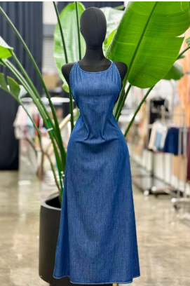 Love in Denim Form Maxi Dress